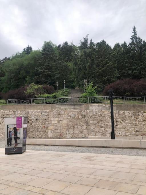 Vivienda De Uso Turistico En El Corazon De Burgos Apartment Bagian luar foto
